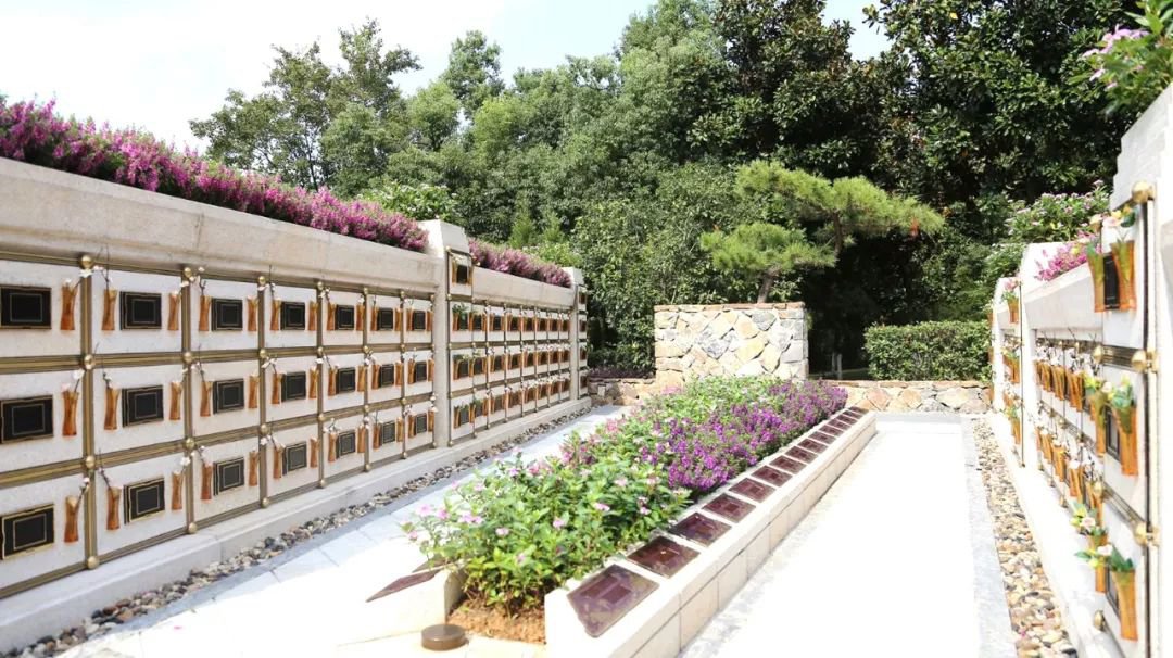在合肥大蜀山文化陵园，与生命温柔对话