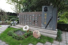 致敬“平安卫士”，铭记“刑警之魂”